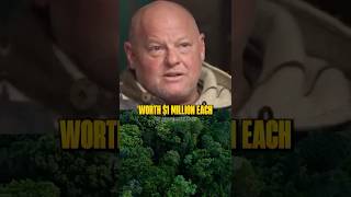 Trees That Are Worth $1,000,000 🤯