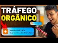 COMO VENDER NA INTERNET SEM GASTAR NADA - Tráfego Orgânico (Dinheiro online)