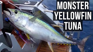 Monster Yellowfin Tuna (Season 5 Ep 1)