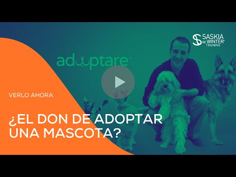 Video: Cómo puedes ayudar a promover la adopción de mascotas en línea