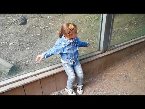 ზოოპარკში. 2019წ.