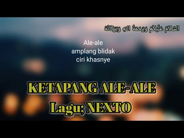 KETAPANG ALE-ALE Lagu NEXTO_ dengan lagu2 berbahasa Melayu Ketapang Kalimantan Barat BAND INDIE 2012 class=