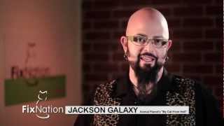 Jackson Galaxy from Animal Planet's MY CAT FROM HELL Talks About FixNation PSA by FixNationClinic 2,106 views 12 years ago 34 seconds