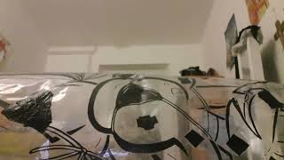 Inflation My Shosu Inflatable Rideroll Sofi