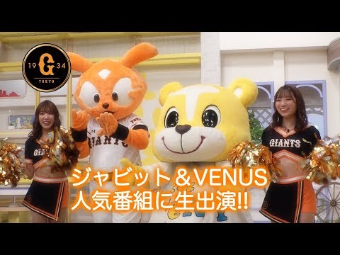 ジャビット＆VENUS　新潟の人気番組で公式戦PRしてみた