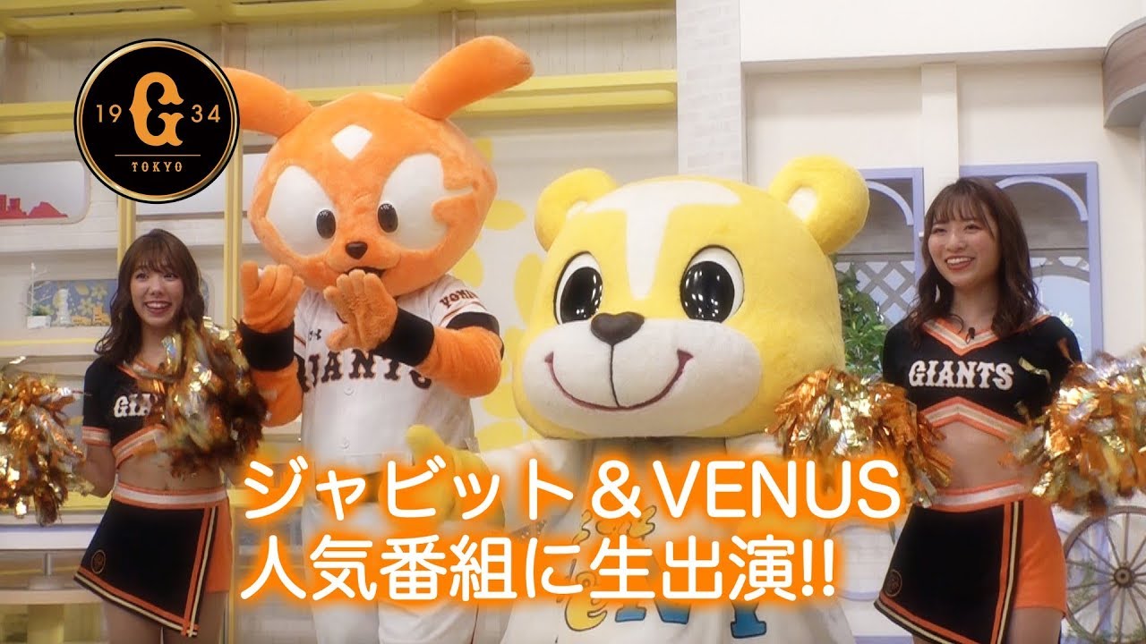 ジャビット Venus 新潟の人気番組で公式戦prしてみた Youtube