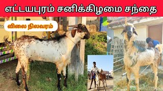 #ettayapuram goat market #goat