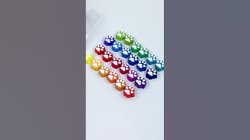 FUFUSQUISHY ASMR🐾🐾24pc mini rainbow based white paw