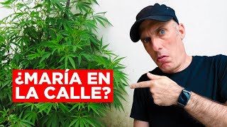 EL CANNABIS EN CHINA: ¿PROHIBIDO O PROMOVIDO? | Jabiertzo by Jabiertzo 71,688 views 3 weeks ago 10 minutes, 37 seconds