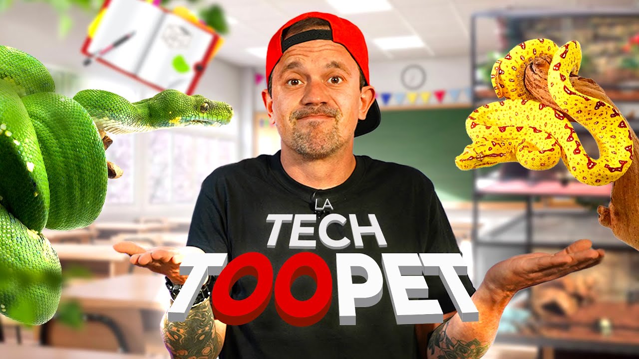 TU VEUX ÉLEVER CETTE ESPÈCE COMME UN PRO ?  (LA TECH TOOPET #1)