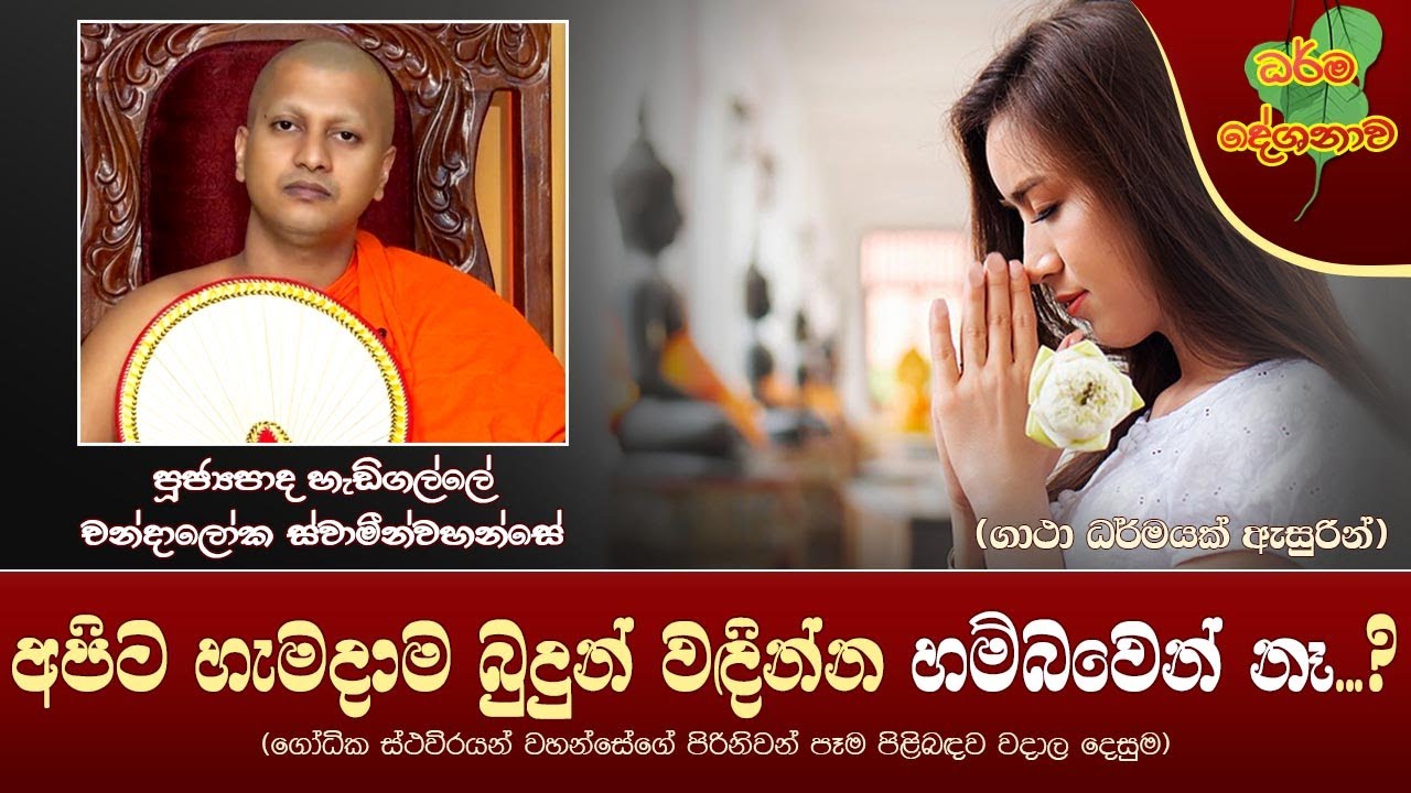 Ven Hadigalle Chandaloka Thero 2021-11-17 | 6:30PM(අපිට හැමදාම බුදුන් වඳින්න හම්බවෙන් නෑ?)ගෝධික හිමි