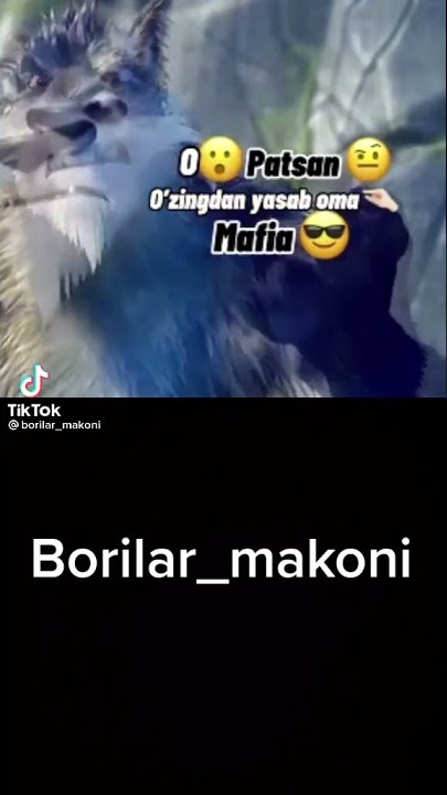 BO'RILAR makoni wolf wolk  tik tok video #RIZOBEKSTUDIO