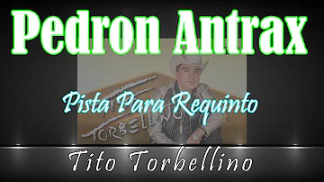 Pista Para Practicar el Requinto I Pedron Antrax I Tito Torbellino🎸