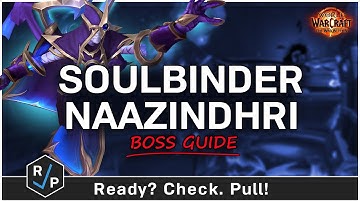 Soulbinder Naazindhri Boss Guide - Heroic/Normal - Manaforge Omega Raid
