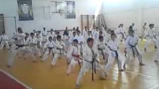 Slavik Harutyunyan Cheif Instructor 5 Dan Seminar.