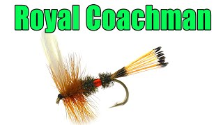 Royal Coachman Classic Dry - John Haily Fly Pattern