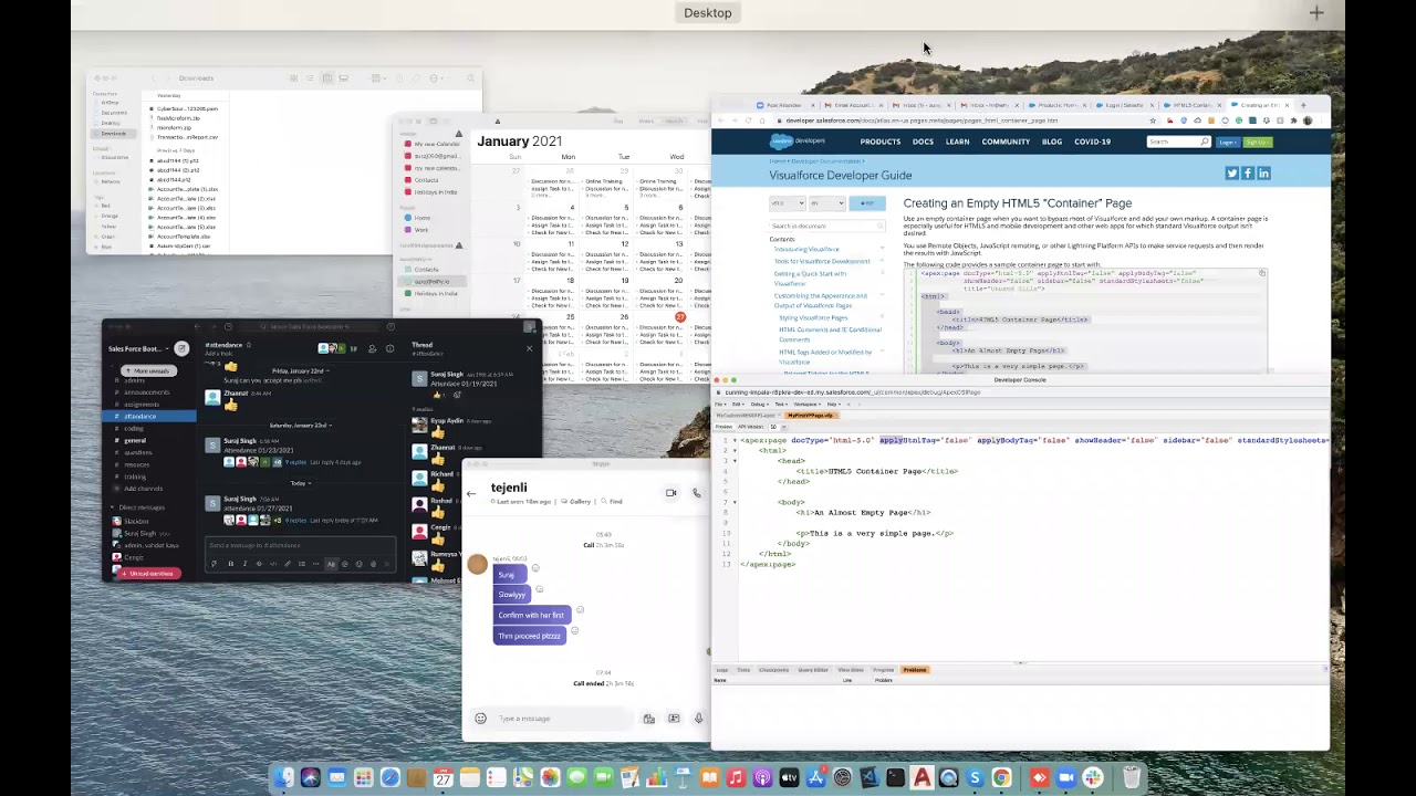 Salesforce Training D38 | VF Page | Apex Controller | PDF with Salesforce