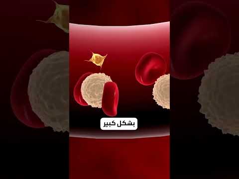 علامات انخفاض خلايا الدم البيضاء
