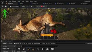 Testing Animal Ragdoll Mechanics and basic behavior