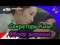 Что случилось с секретарём Ким? - обзор / Why Secretary Kim от Doramania