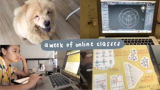 uni vlog: online classes as an architecture student (upd) //drafting + using cad, a new dog