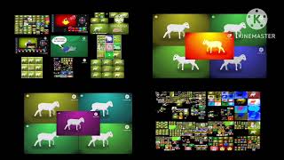 Too Many Pulcino Pio 2