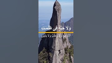 تلاوة تبعث السكينة في القلب