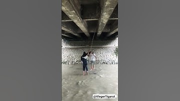 Ngambil Anakan Burung Walet diBawah Jembatan Angker #short #VlogerTigarut #DedewaletGemezz