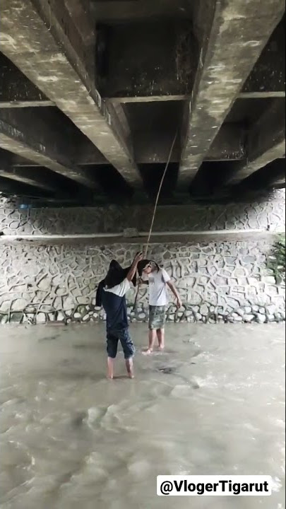 Ngambil Anakan Burung Walet diBawah Jembatan Angker #short #VlogerTigarut #DedewaletGemezz