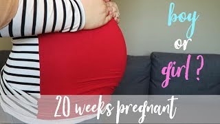 20 Week Pregnancy Update + Old Wives Tales Predictions
Hi Friends! Today I am sharing a 20 week update with you as well as what the Old Wives Tales think Baby #3 will be. Make sure to leave us a comment with what YOU think Baby #3s gender will be!
SUBSCRIBE TO JOIN #TEAMDODGE!
**CONNECT WITH US!!**
Instagram/Snapchat- @thedodgefamily
Facebook - www.facebook.com/thedodgefamily
Twitter - http://twitter.com/thedodgefamily
Pinterest - http://pinterest.com/kimmydodge
For Business Inquiries you can email us at: theofficialdodgefamily@gmail.com
FIND OUR MEDIA KIT HERE -
https://drive.google.com/file/d/1Qo6l6tVRpPJgXQEIAsh5fQqxUDlxagkw/view?usp=sharing
MUSIC FROM EPIDEMIC SOUND, JOAKIM KARUD, & DQ QUADS
http://www.joakimkarud.com
https://soundcloud.com/aka-dj-quads
* denotes affiliate links 20 Week Pregnancy Update + Old Wives Tales Predictions