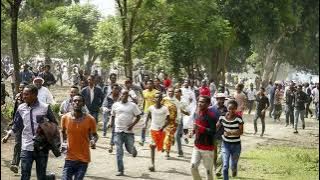 Dhaabaa Caalaa - Giddiin Gaadite New Oromo Music 2024