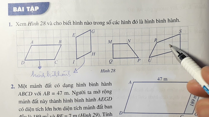 Giải bài tập toán lớp 6 hình học trang 104 năm 2024