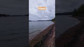 Яблоня сошла с ума, Бухта Новик, остров Русский, Владивосток. #БлогВладивосток