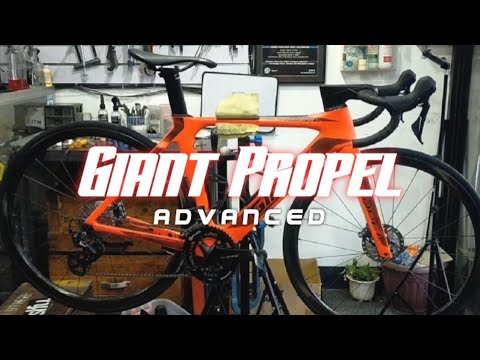 Giant Propel Advanced