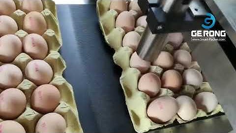 Automatic egg tray red color ink jet printing coding machine fresh egg coding machine