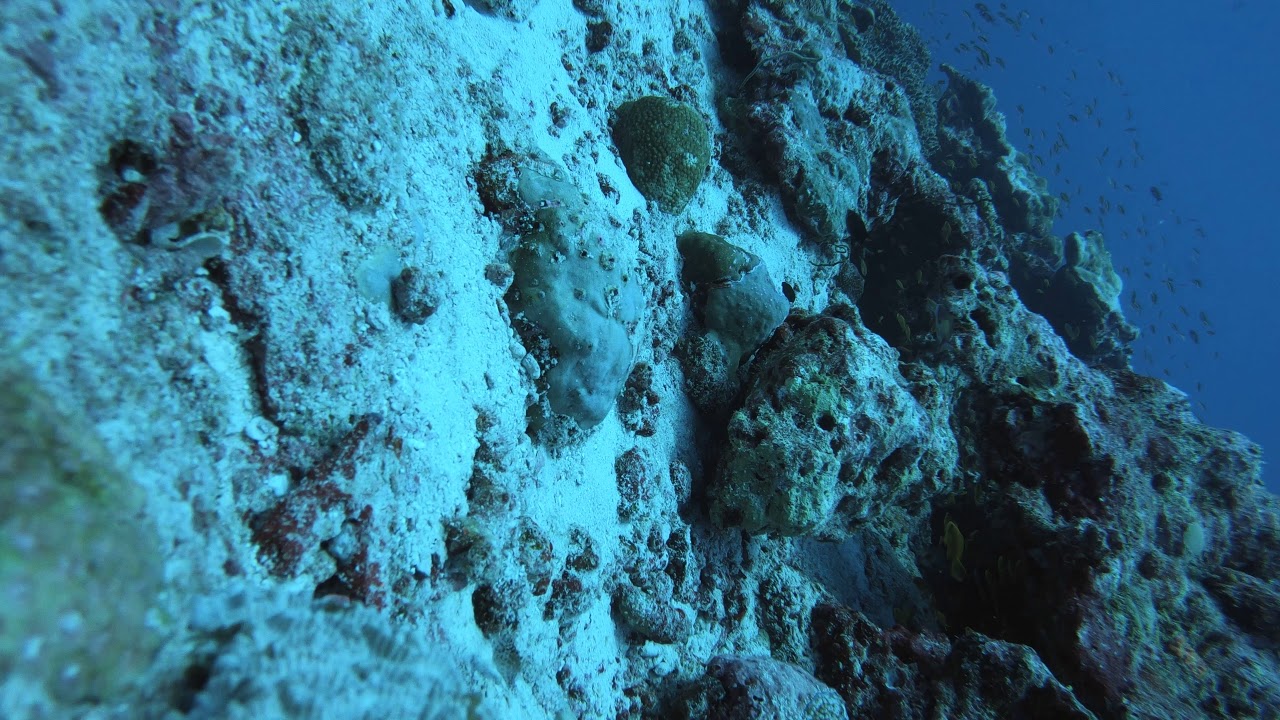 12 Mar Fushi Kandu 5