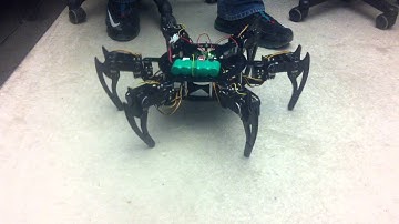 SELU Computer Science Project - PrOj3c7 h3x4pOD