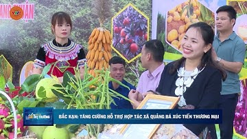 BẮC KẠN: TĂNG CƯỜNG HỖ TRỢ HỢP TÁC XÃ QUẢNG BÁ XÚC TIẾN THƯƠNG MẠI | VTV5