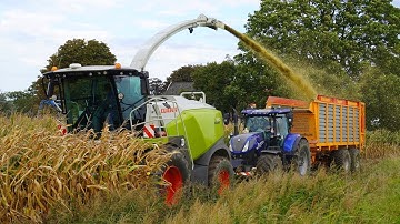 Mais 2025 | Claas | New Holland T7.245 | Fendt 720 | Panhuis Nijbroek | Maishakselen | Mais silage