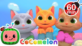 Three Little Kittens| Cocomelon | Best Animal Videos for Kids | Kids Songs and Nursery Rhymes
