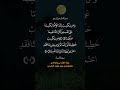 حسبنا الله في من قال فينا ماليس فينا حسبنا الله ونعم الوكيل قرآن کریم العرب Saleh Shakomy Egypt 