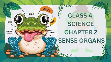 Class 4 EVS Chapter 2 Sense Organs @kidsknowledgepoint