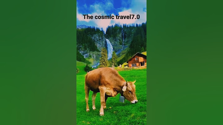 switzerland cow farm🦋🦋🤩 ll switzerland tourism cows with milk 8k ll switzerland vlog #viral #shorts