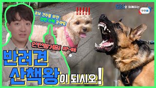 [안전게임x도티] 사랑스러운 댕댕이와 행복하고 안전하게 산책하는 법? [미션명 : 반려견 산책왕이 되시오!] screenshot 3