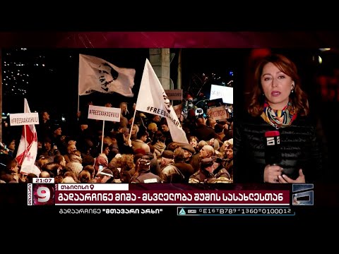 \"გადაარჩინე მიხეილ სააკაშვილი\" | სოლიდარობის აქცია ივანიშვილის შუშის სასახლესთან