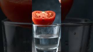 🍅 Tomato Growing Timelapse in Water | Ultra Realistic Macro Nature Video 🌱💧 #macro photographers