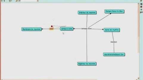 Dual-tracking during collaborative Concept-map building