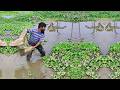 Best Net Fishing Video - Old Fisherman Catch Fish - Traditional Net Fishing Videos