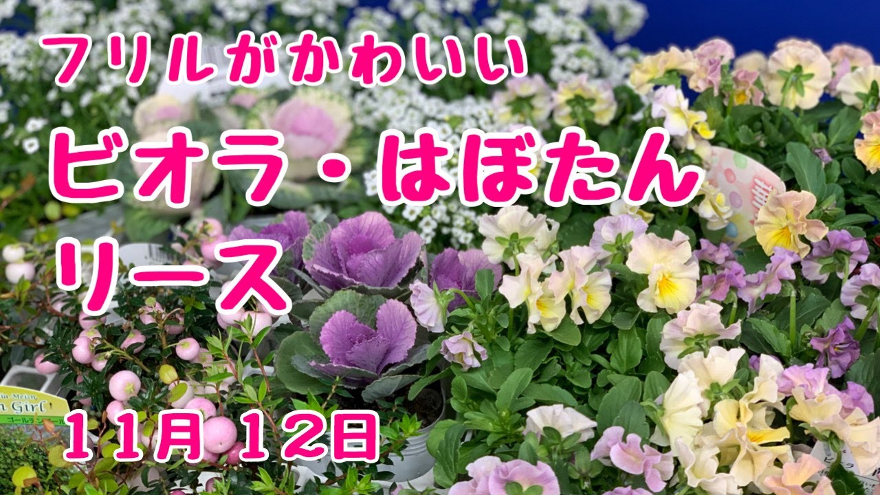 D 3j1oougofgfm D 3j1oougofgfm