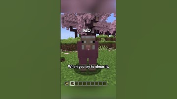 Shearing a jeb sheep #minecraft